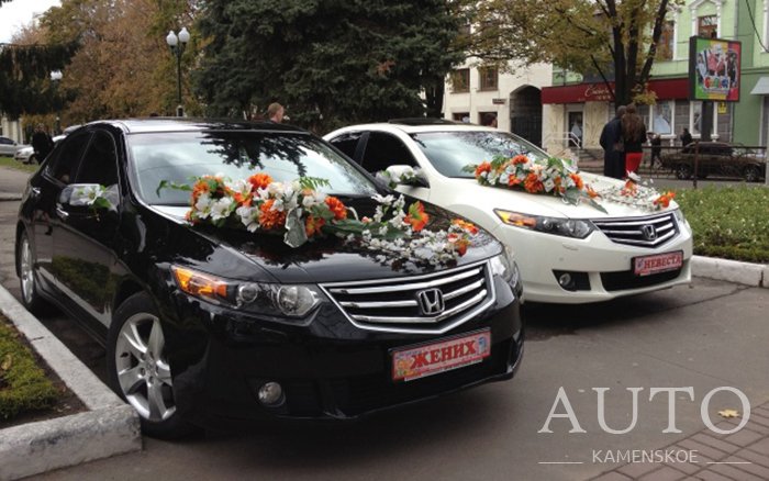 Аренда Honda Accord на свадьбу Каменское